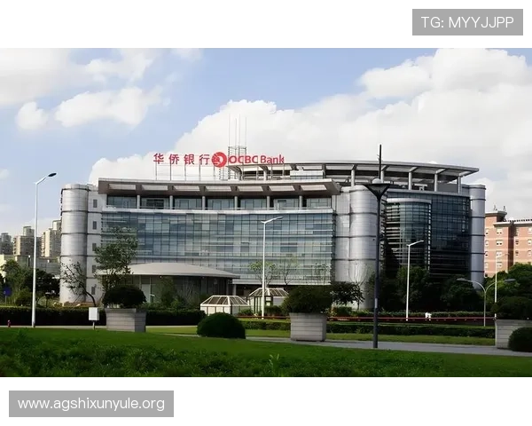 皇家ag现金：注册流程与开户流程详细步骤指南