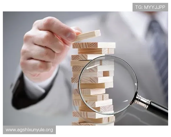 评估AG电投网站的投资风险与收益潜力