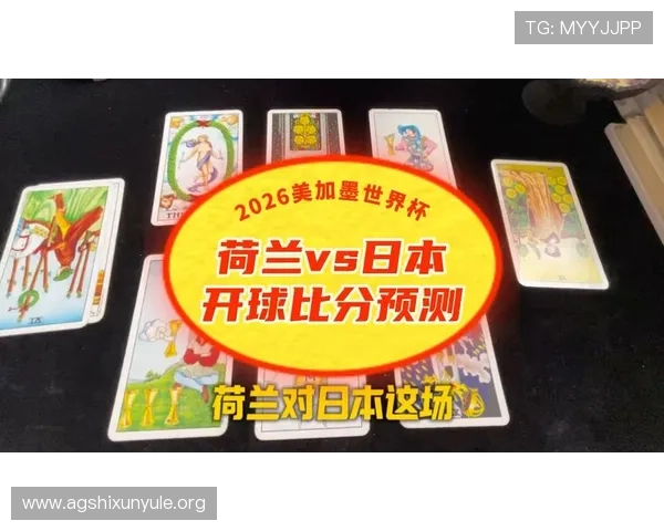 2026年世界杯荷兰对阵日本比赛交通指南详细解析与出行建议